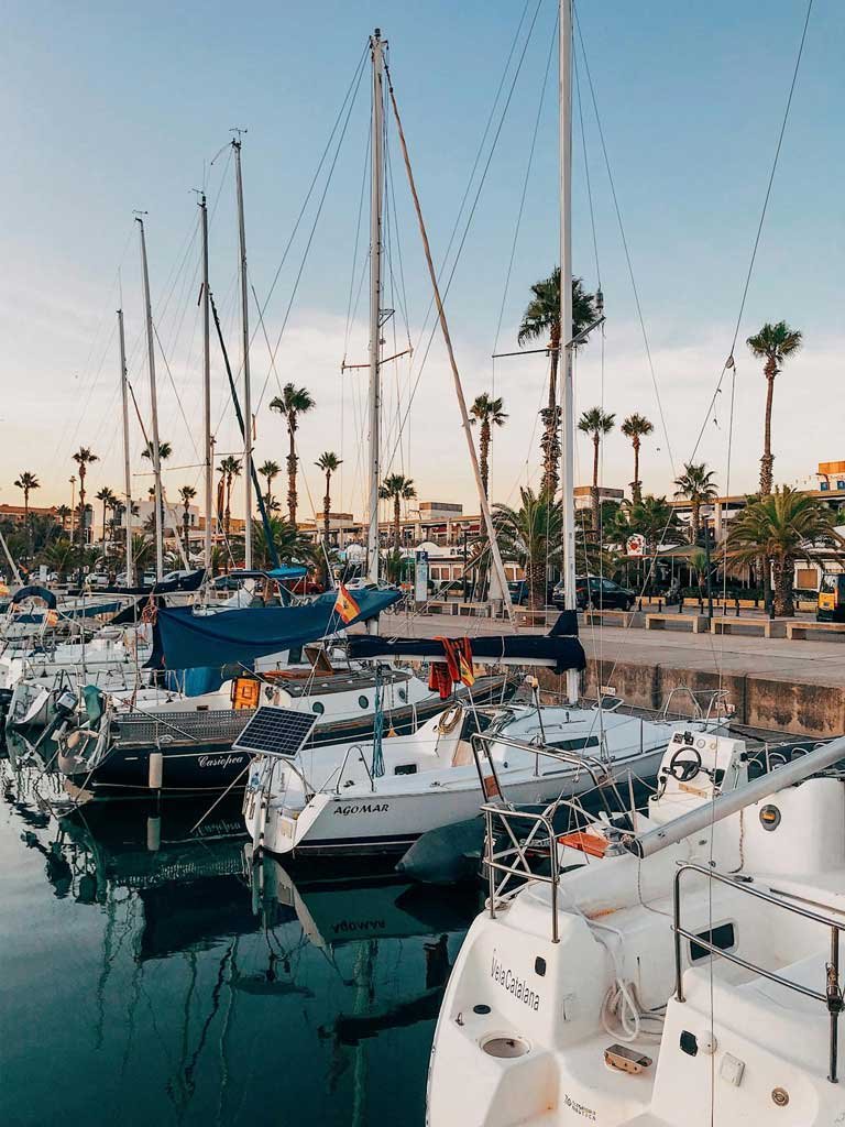 Veleros alineados en el puerto